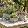 Blomkorgset i rotting, vitgrå, shabby chic-dekoration, 3 delar | Floristik24.se