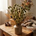 Torkad dekoration med jordgubbstistel, olivgrön, Ø1–2 cm, L55 cm, 100 g | Floristik24.se