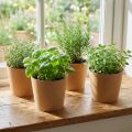 Planteringskärl, blomkruka, papperskruka naturlig Ø15cm H13cm 4st | Floristik24.se