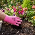 Kixx trädgårdshandskar storlek 8 rosa, rosa | Floristik24.se