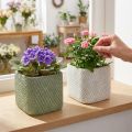 Planteringskärl keramik vit grön reliefnät 12,5x12,5cm H9cm 2st | Floristik24.se