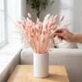 Phalaris rosa glänsande gräs torkad torr dekoration 65cm 60g | Floristik24.se
