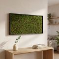 Väggmålning mossa i grön ram 60x30cm Väggdekoration av mossa | Floristik24.se