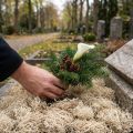 Dekorativ mossatorkad skogsmossa blekt naturdekor 300g | Floristik24.se