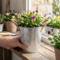 Metallkruka, blomkruka med handtag, planteringslåda med blommönster Ø18cm | Floristik24.se