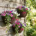 Hängande korgväxter metall rost utseende H30/33,5/40cm set om 3 | Floristik24.se