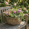Stor rottingkorg med handtag, naturvit, XL-planter i lantlig stil, dekorativ korg för växter och förvaring, Ø51cm | Floristik24.se
