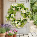 Daisy Krans Vit Grön Konstgjord Ø28cm H9cm | Floristik24.se