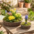 Planteringsring, planteringsskål, trä, naturgrå, Ø30/35cm, set om 2. | Floristik24.se