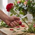 Floristkniv Victorinox | Floristik24.se