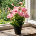Orientalisk vallmo, konstgjord blomma, vallmo i rosa kruka | Floristik24.se