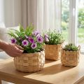 Naturliga växtkorgskorg set om 3, blomkorg, planteringslåda, boho dekorativ korg, flätad, Ø18/23/29cm | Floristik24.se