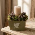 Trälåda i shabby chic-stil, grön, 11×14,5×14 cm | Floristik24.se