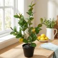 Konstgjord citronträd i kruka, 65 cm, dekorativ växt, konstgjord växt | Floristik24.se