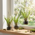 Liljekonvalj i glas Artificiell tidigblommare H22cm 3st | Floristik24.se