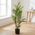 Fern i en kruka grön 80cm | Floristik24.se