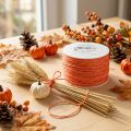 Papperssladd lindat Ø2mm 100m Orange | Floristik24.se