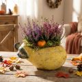 Dekorativ päronformad kruka, höstblomkruka, betong, 25×13×11 cm | Floristik24.se