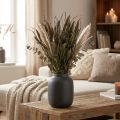 Torkade blommor Setaria Antracit Naturlig Borst Hirs Gäng 100g | Floristik24.se