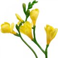 Floristik24 Freesia, konstgjorda blommor, fresia i gäng gul L64cm 6st