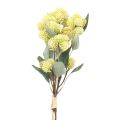 Floristik24 Fet Höna Grön Sedum Stengröda Konstgjorda Blommor 41cm 3st