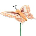 Floristik24 Blomplugg trä dekorativa fjärilar på pinne 23cm 16st