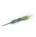 Floristik24 Foxtail gräsgrön, vit 63cm