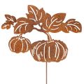 Floristik24 Trädgårdspåle med pumpamotiv, metalldekoration, rostfri yta, 100 cm
