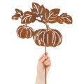 Trädgårdspåle med pumpamotiv, metalldekoration, rostfri yta, 100 cm | Floristik24.se