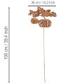 Trädgårdspåle med pumpamotiv, metalldekoration, rostfri yta, 100 cm | Floristik24.se