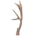 Konstgjorda dekorativa horn,