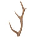 Floristik24 Dekorativa konstgjorda horn, rustik stugdekoration, 50 cm