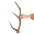 Dekorativa konstgjorda horn, rustik stugdekoration, 50 cm | Floristik24.se