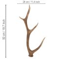 Dekorativa konstgjorda horn, rustik stugdekoration, 50 cm | Floristik24.se