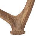 Dekorativa konstgjorda horn,