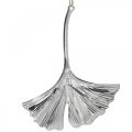 Floristik24 Dekorativt hängande ginkgo blad, metall dekoration, advent, höst dekoration silver L12cm 12st