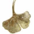 Floristik24 Dekorationshängare Ginkgo bladglas guld 8cm × 10cm 2st
