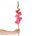 Konstgjord gladiolas med dekorativa blommor, 88 cm | Floristik24.se