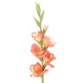 Floristik24 Konstgjorda gladioler med många blommor till en bukett, 88 cm