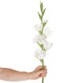 Konstgjord gladiolus, lång stjälk, för vaser, 88 cm | Floristik24.se