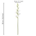 Konstgjord gladiolus, lång stjälk, för vaser, 88 cm | Floristik24.se