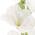 Konstgjord gladiolus, lång stjälk, för vaser, 88 cm | Floristik24.se
