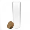 Floristik24 Glas med korklock Glascylinder med kork Klar Ø6cm H21cm