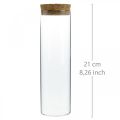 Floristik24 Glas med korklock Glascylinder med kork Klar Ø6cm H21cm