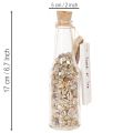 Glasflaskdekoration med snäckor och hänge, maritim borddekoration, 17 cm, 2 stycken | Floristik24.se