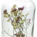 Floristik24 Glas med ljusstake, glasdekoration med torkade blommor H16cm Ø8,5cm