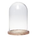Floristik24 Glasklocka med träplatta glasdekor Ø17cm H25cm