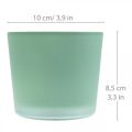 Floristik24 Blomkruka i glas grön plantering glasbalja Ø10cm H8,5cm