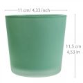 Floristik24 Blomkruka i glas grön plantering glasbalja Ø11,5cm H11cm