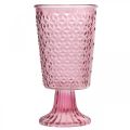Floristik24 Ljuskopp, koppglas, lykta, glasdekoration Ø10cm H18,5cm